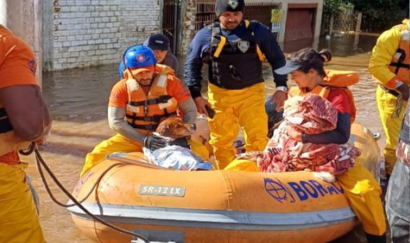 Força tarefa liderada pela Defesa Civil de São Sebastião resgata 14 pessoas, 64 cachorros e 16 gatos em São Leopoldo